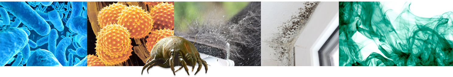 Contaminants found in dirty air ducts: bacteria, pollen, dust mites, mold, and odors